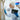Person in a lab coat and hairnet using a tablet in a laboratory setting